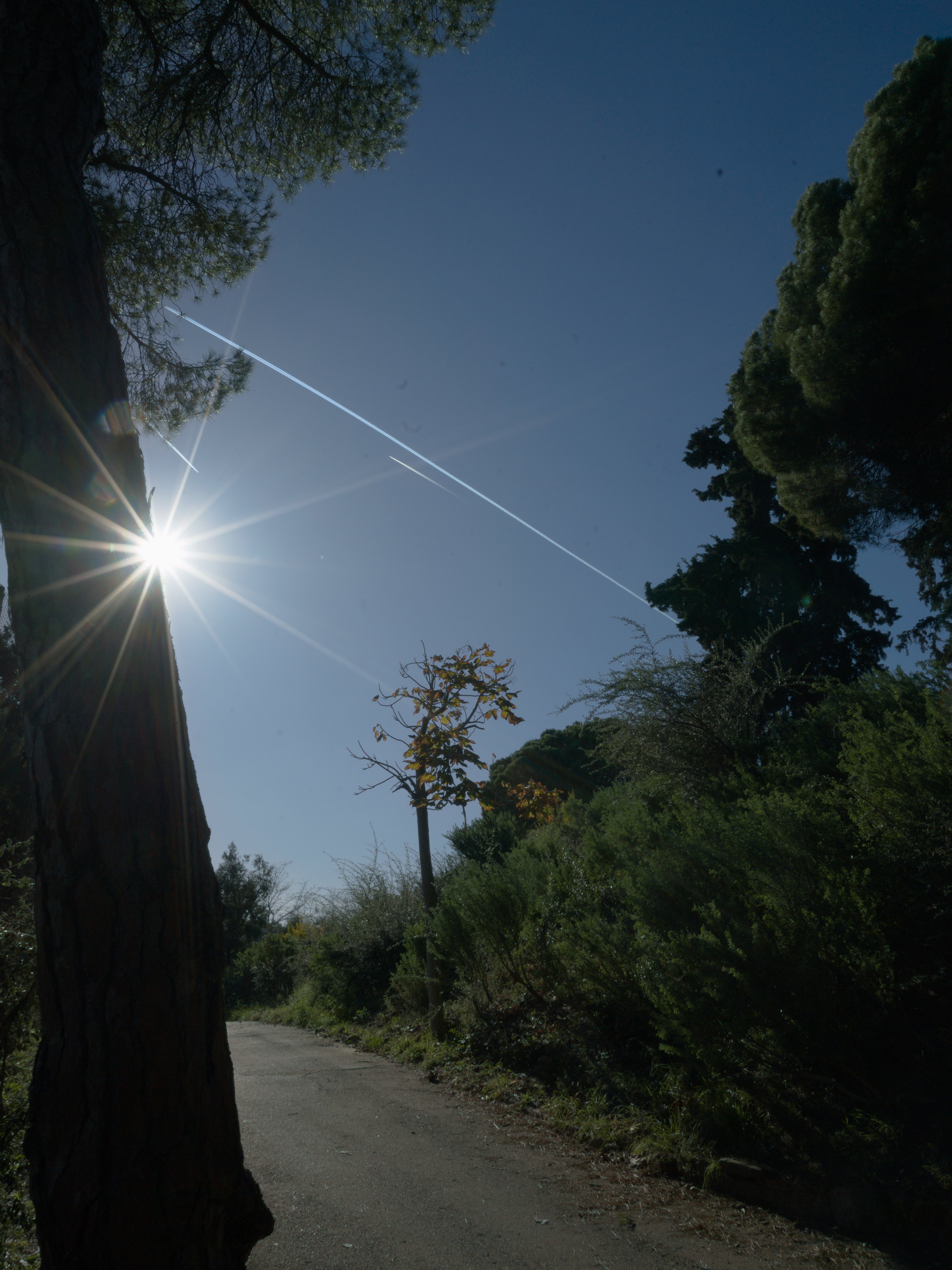 Proyecto inaugural de la web de Ibán Ojea. Fotografía documental subjetiva en Barcelona.